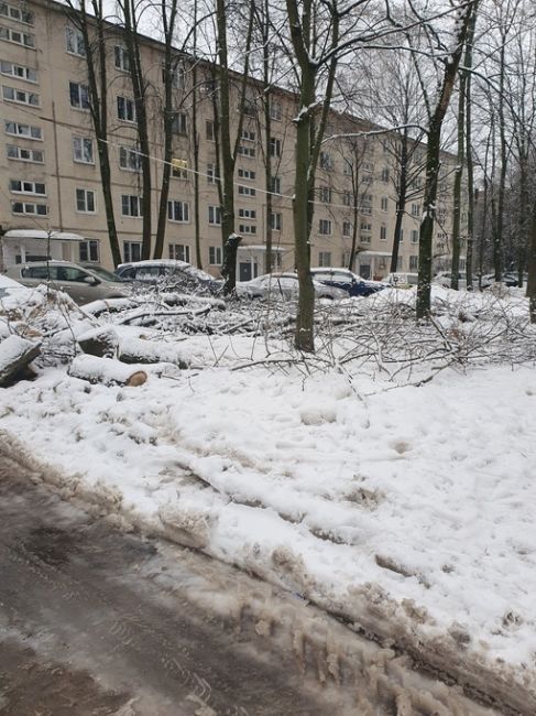 Территория около школы 6 на Октябрьской буквально в двух метрах такое безобразие! Школа, детская площадка,..