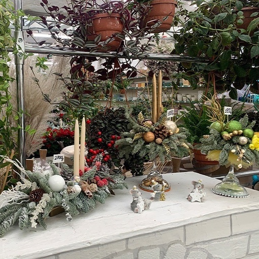 ☃️Открываем Елочный базар!  🔖Елочки-срезка. Цена за 1 дерево:
🎄850 руб  🎄1500 руб  🎄2500 руб  🔖Елочки-для..