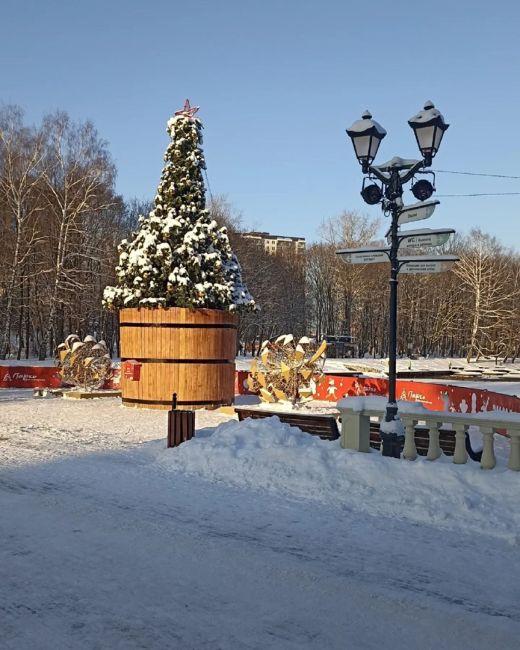Начинаются морозы. Этой ночью уже до - 14. Но зато какое солнце днём ! Выходите за витамином..