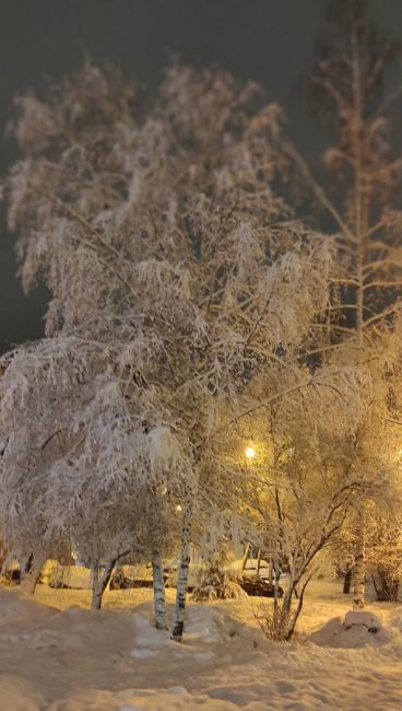 Вечерний фоточат: присылайте в комментарии последние фотографии которые вы сделали на свой телефон(или..