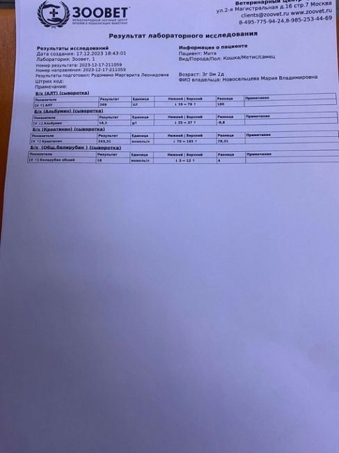 В Хотьково был изнасилован кот  Кто узнает котика, найденного в Хотьково, мкр Митино около детского сада..
