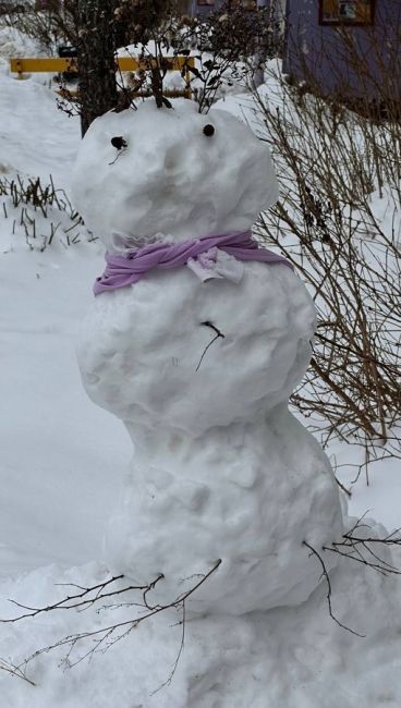 Ох уж наши белоснежные красавцы ⛄️  А вы..