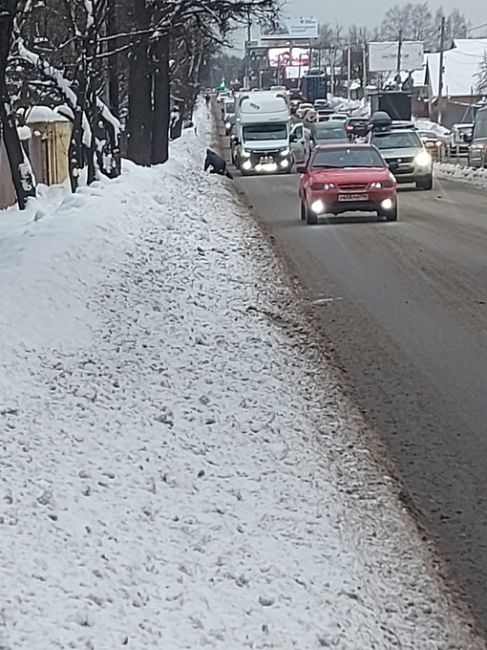 Вы когда нибудь видели чтобы хоть одной зимой так чистили этот тротуар на..