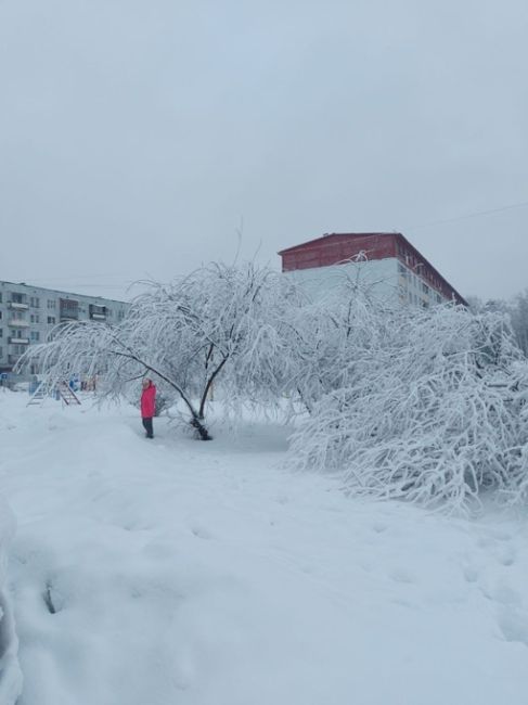 Наконец-то зима вернулась..