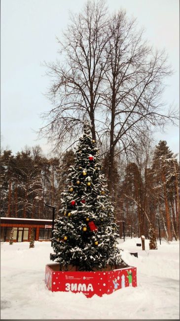 С добрым утром! 🎄  Погода в Ногинске на 21 декабря: 
🌨Пасмурно, возможен слабый дождь со снегом..