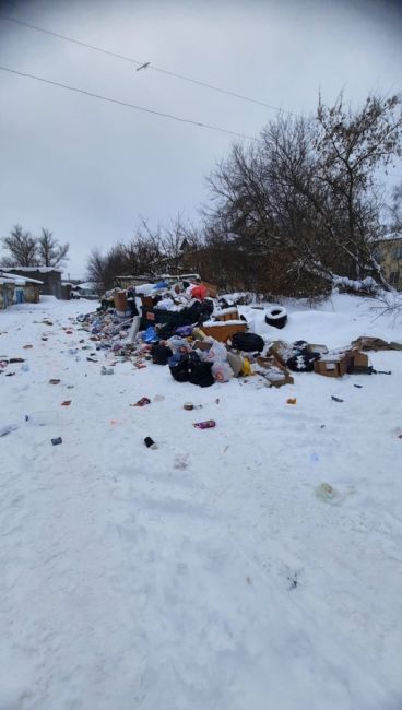 Москва и Подмосковье тонут в мусоре  Жители Москвы и Подмосковья массово жалуются на неубранный мусор. За..