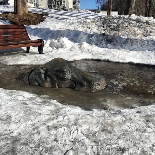 А теперь синоптики предупреждают об аномальной оттепели до +6°С 😄  Снег будет то подтаивать, то подмерзать...