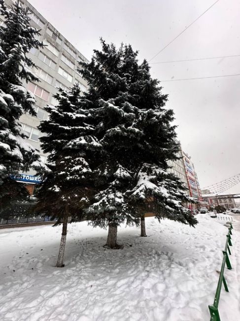 ❄️ Сегодня температура станет ощутимо гуманнее, чем накануне, -9…-14 градусов. 
Кстати, с 13 – 14 декабря..