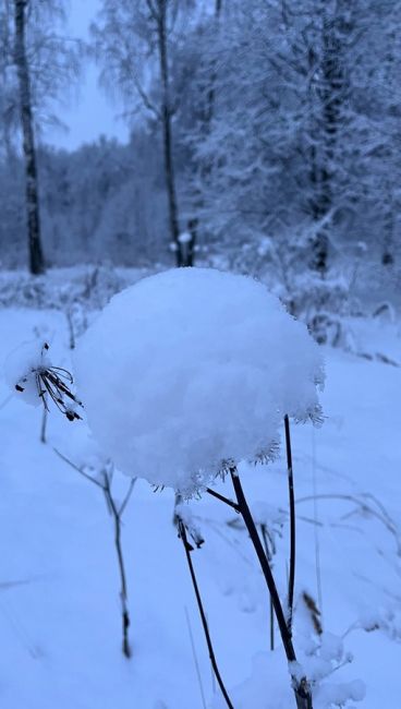 Вечерний фоточат: присылайте в комментарии последние фотографии которые вы сделали на свой телефон(или..