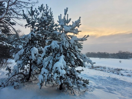 Заповедник Лохин остров.  Фото: Андрей..