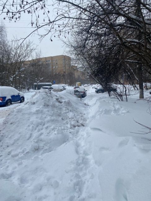 Вы когда нибудь видели чтобы хоть одной зимой так чистили этот тротуар на..