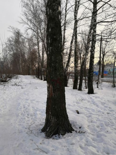 Вчера по ул. Железнодорожной от 27 дома до поворота вдоль железной дороги в районе высоковольтной линии..