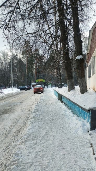 Огромное спасибо всем тем, кто ходит пешком от улицы Советская до входа в Детский городок! Все вместе мы..