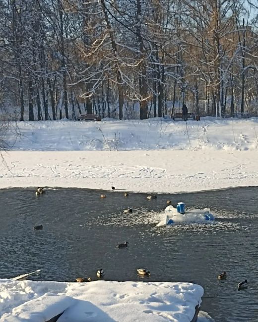 Начинаются морозы. Этой ночью уже до - 14. Но зато какое солнце днём ! Выходите за витамином..