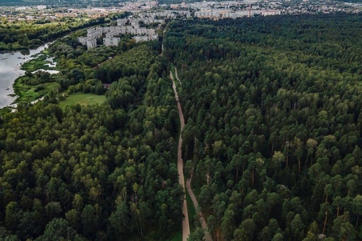 🌳  Округ продолжает преображаться  Запланировано благоустройство территории от Георгиевского храма до..