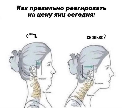 Средняя сумма расходов на покупку продуктов для празднования Нового года составляет 5115 рублей..