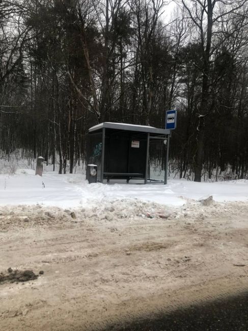 С момента первых снегопадов неделю назад Мосавтодор по всему городу не убирает ни дороги, ни тротуары, ни..