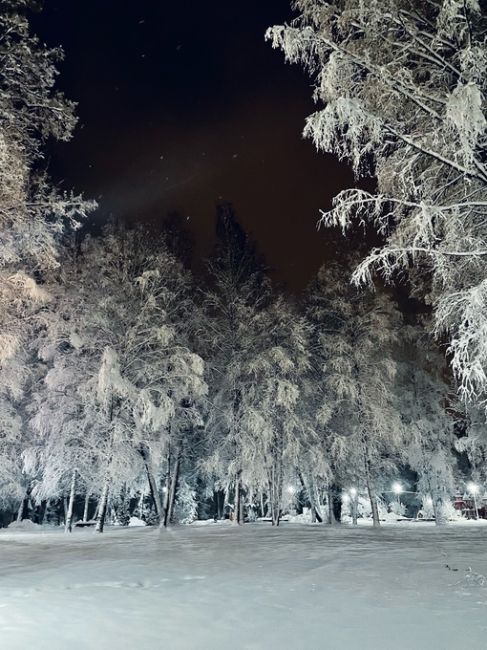 Вечерний фоточат: присылайте в комментарии последние фотографии которые вы сделали на свой телефон(или..