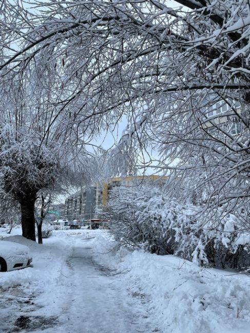 Невероятная красота в городе..