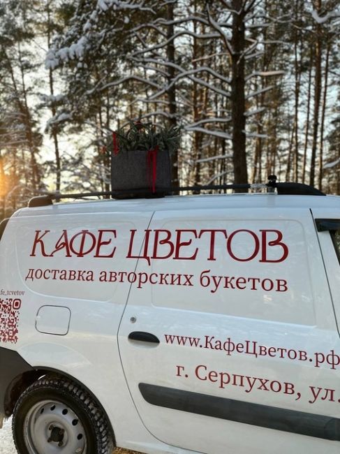 В такую погоду каждая девушка нуждается в витамине - «Ц»  в ЦВЕТАХ 🌸  Этот витамин в неограниченных..