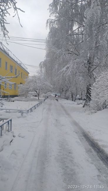 Наконец-то зима вернулась..