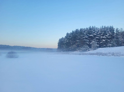 Заповедник Лохин остров.  Фото: Андрей..