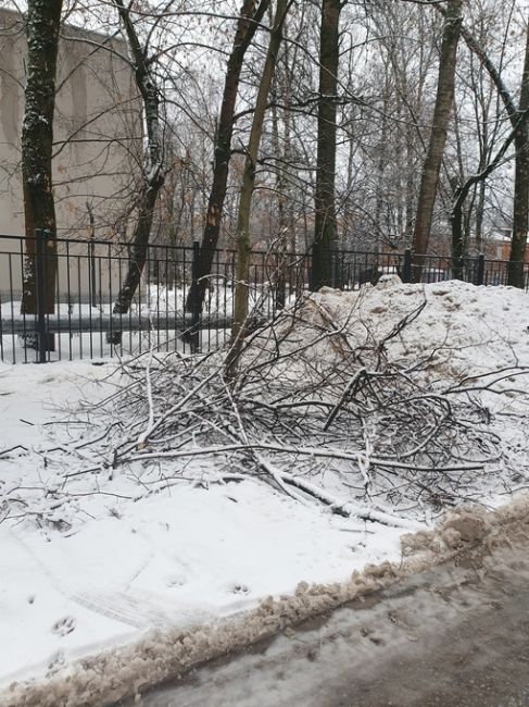 Территория около школы 6 на Октябрьской буквально в двух метрах такое безобразие! Школа, детская площадка,..