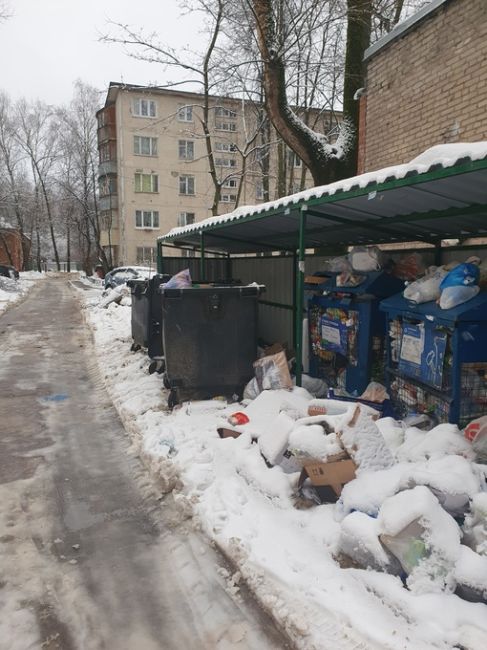 Территория около школы 6 на Октябрьской буквально в двух метрах такое безобразие! Школа, детская площадка,..