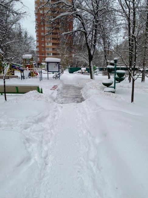 В Новогорске местные жители после вчерашнего снегопада тоже вышли на улицы сами чистить свои дворы..
