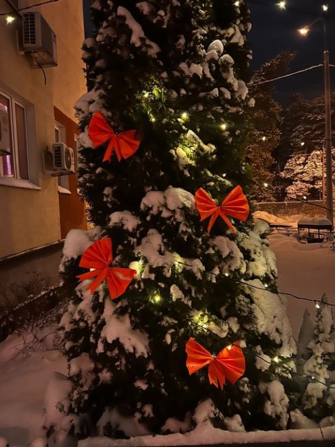 А У ВАС УЖЕ УКРАСИЛИ ДВОР❓
📸 Светлана
У нас вот..