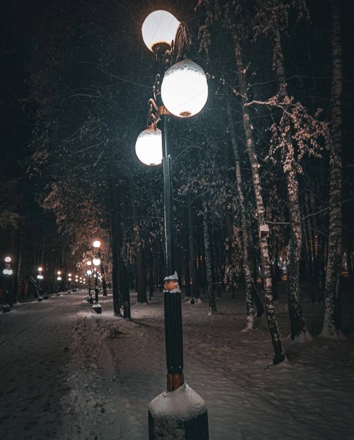 Спокойной ночи 🌙  📸:..