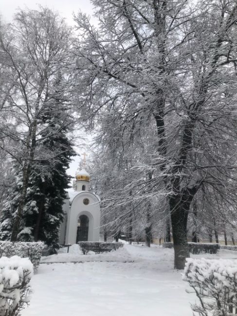 Наконец-то зима вернулась..