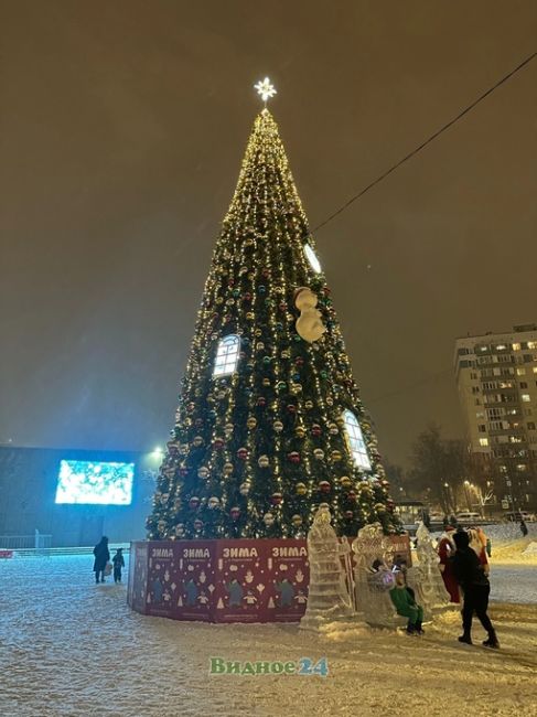 Видновские Новогодние елки..