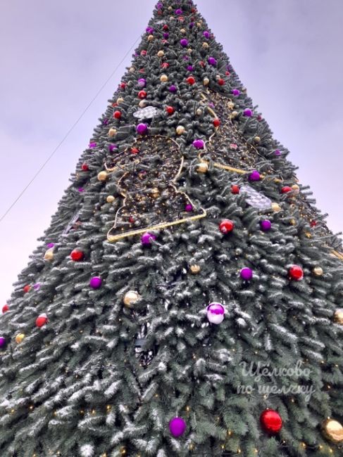 Хорошей пятницы🎄❄️  Утром ёлочка на площади еще..