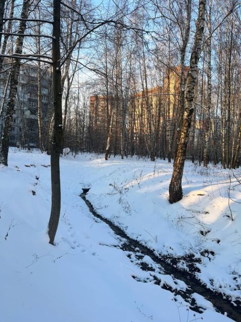 КАК ВАМ ПОГОДКА❓
Погода сегодня была просто огонь, даже успели погулять..