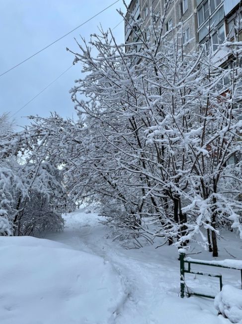 Невероятная красота в городе..