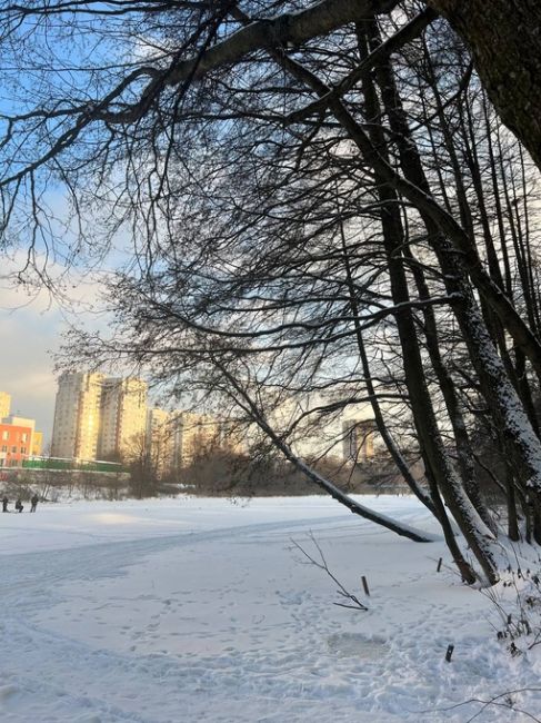 КАК ВАМ ПОГОДКА❓
Погода сегодня была просто огонь, даже успели погулять..