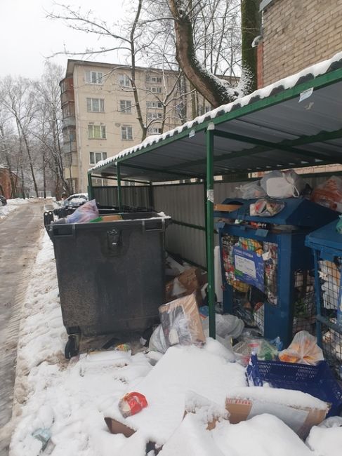 Территория около школы 6 на Октябрьской буквально в двух метрах такое безобразие! Школа, детская площадка,..