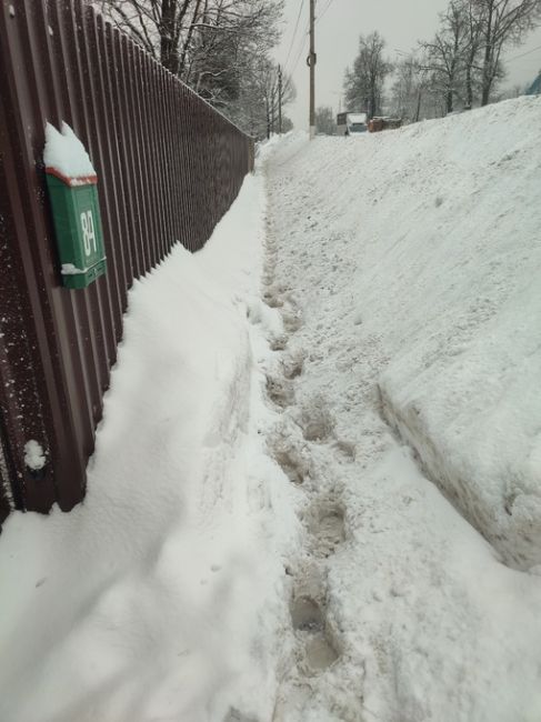 Это настолько абсурд, что уже просто смешно) Тротуар на Новоникольской) Заявки в доброделе "в работе",..