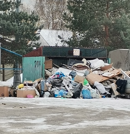 Полигон барахла на улице Спортивной, 8к1. Такую картину наблюдаем с осени. Вывезут и через пару дней снова..