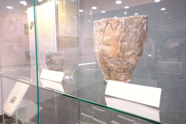 Вы знали, что на территории нынешнего Королёва были найдены тысячелетние артефакты?  Выставка Музейного..