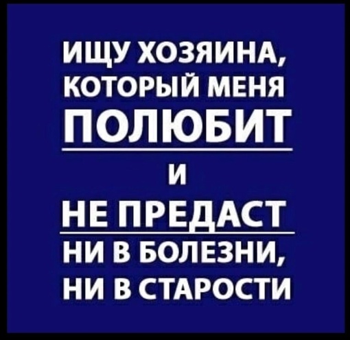 Сергиев Посад, МО  ⚡ Кому нужен друг? Самый лучший, любящий и преданный! ⚡  ✨ Возраст: около 2 месяцев.
✨..