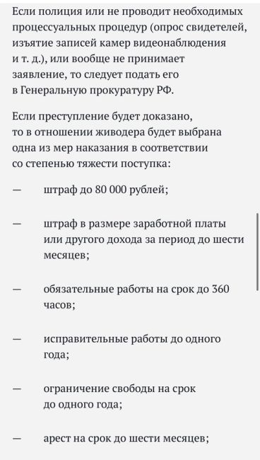 Вот такие вот две вандалки ходят и издеваются над своими собаками во дворе на пересечении улиц Российской и..