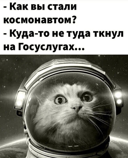 Жители Московской области и ранее догадывались, что проект губернатора Воробьёва "Добродел" был реализован..