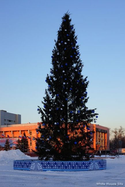 🎄А вот такая елочка была в 2005 году. Именно с этого времени на площади стали устанавливать искусственные..