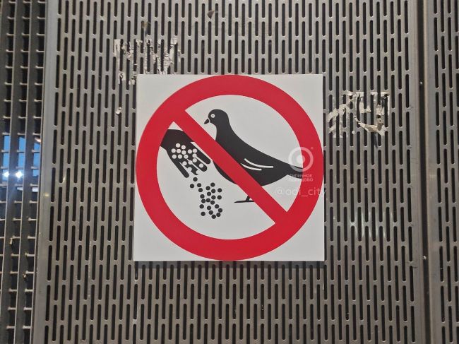 На платформе "Одинцово" повесили таблички с просьбой не кормить птиц..