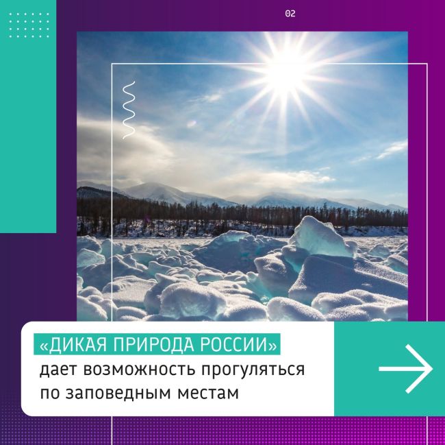 Владимир Путин рассказал о запуске сайта о российских заповедниках nature.kremlin.ru  Здесь можно почитать новости..