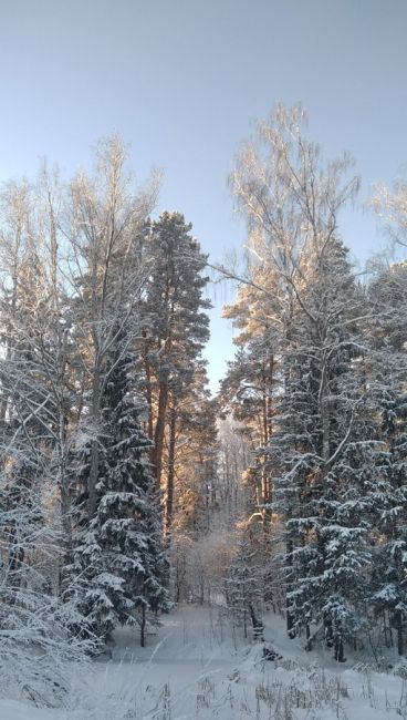 ❤С Рождеством Христовым,..