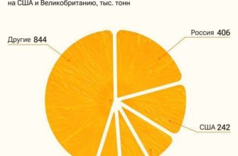 Какая страна была первой