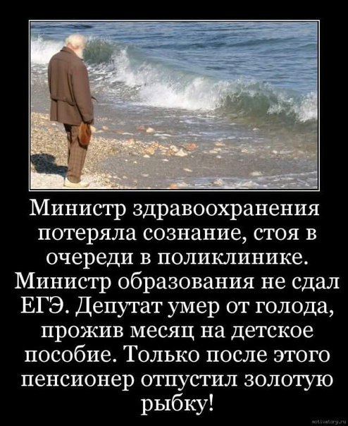 Замминистра благоустройства Мособласти кинули на 2,5 миллиона: он заплатил за элитный отдых в Бодруме, но..